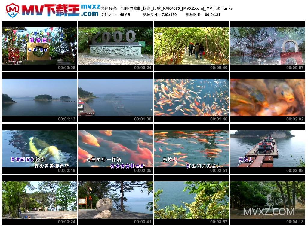 童丽-渭城曲_国语_民歌_NAI04875